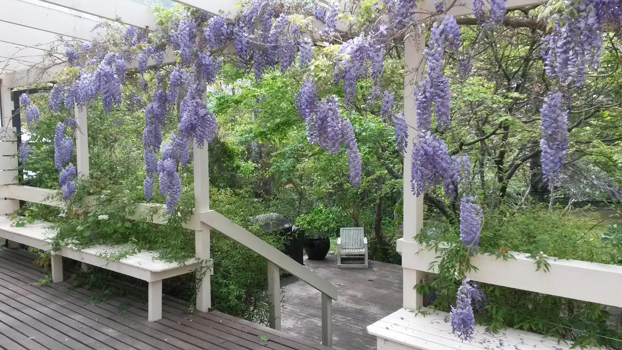 Leura Country Cottage Exterior foto