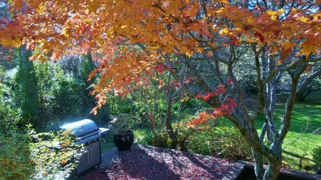 Leura Country Cottage Exterior foto