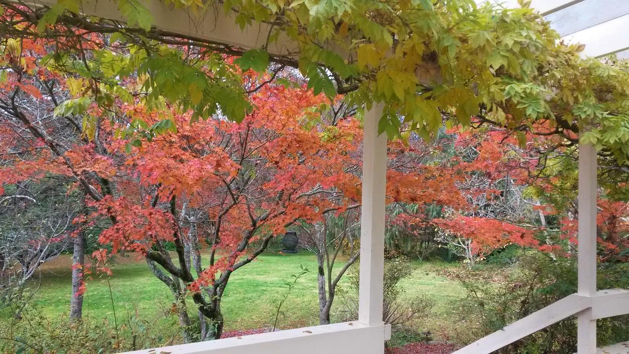 Leura Country Cottage Exterior foto